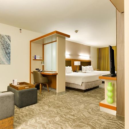 Springhill Suites By Marriott Mcallen Convention Center מראה חיצוני תמונה